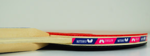 Butterfly Addoy 3000 table tennis racket